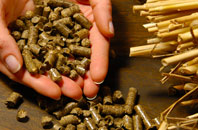 free Duntocher biomass boiler quotes